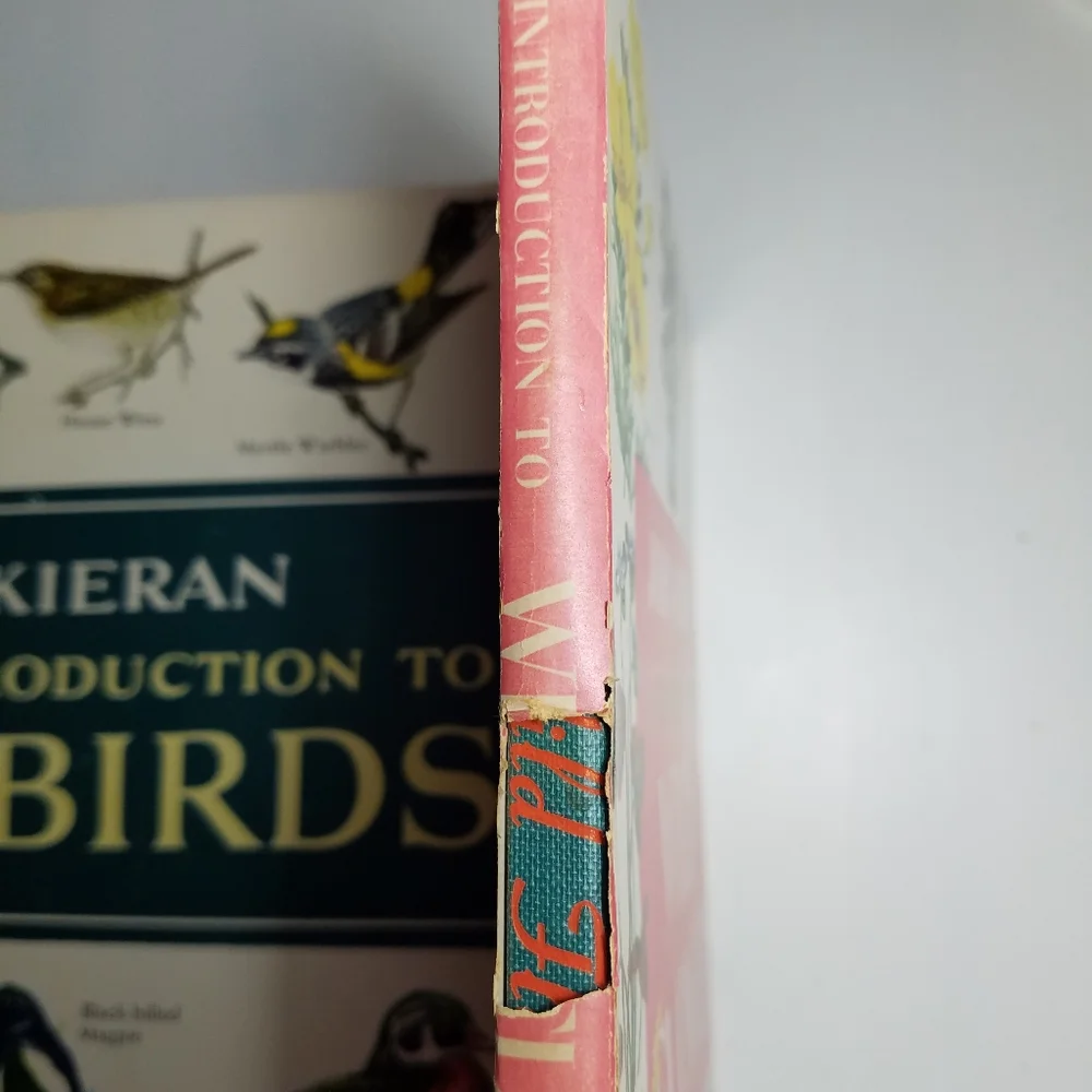 Rare 3 book set by John Kieran. An Intro to Nature. Birds, Wildflowers, Trees - Picture 6 of 11
